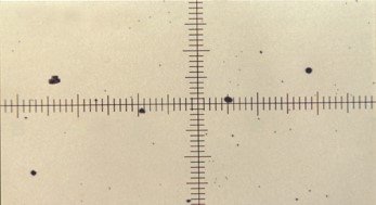 nas7